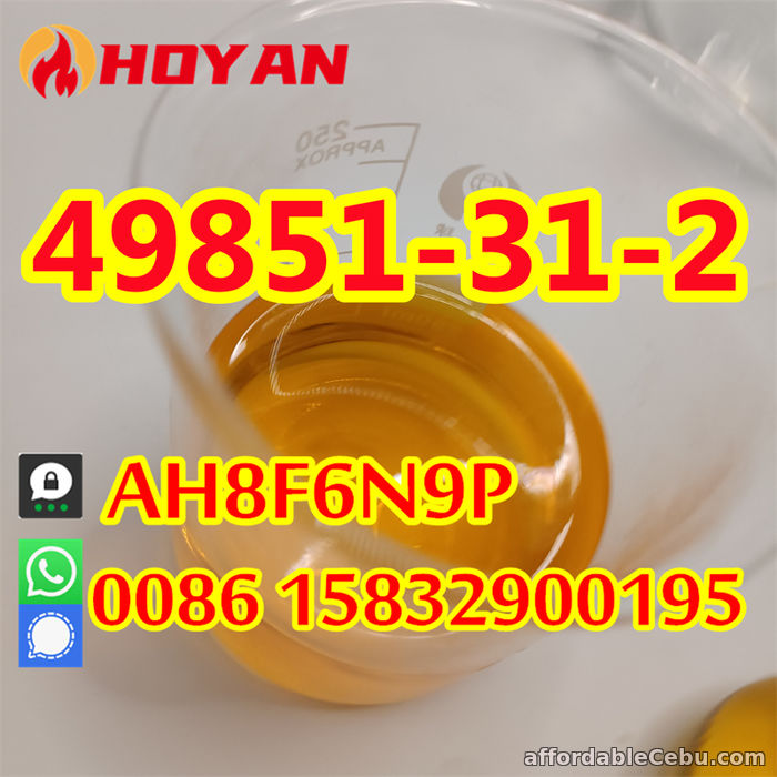 1st picture of CAS 49851-31-2 wholesale price 2-Bromo-1-Phenyl-1-Pentanone hot sell For Sale in Cebu, Philippines