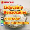 Anesthetic lidocaine powder CAS 137-58-6, 73-78-9 bulk quantity in stock