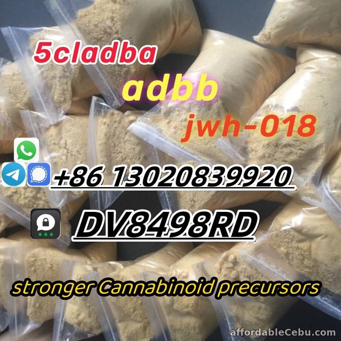 3rd picture of Reliable in quality with safe delivery 5cladba,adbb,jwh-018,2709672-58-0 For Rent in Cebu, Philippines