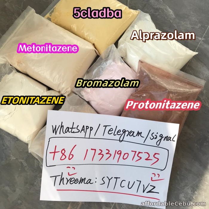 1st picture of Buy 5cladba  Bromazolam  A-PVP  Protonitazene  Metonitazene EU WhatsApp:+ 86 17331907525 Looking For in Cebu, Philippines