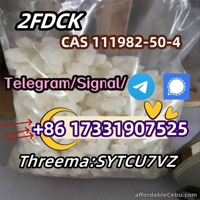 1st picture of CAS 111982-50-4 2- fdck 2-fluorodeschloroketamine Telegram/Signal: +86 17331907525 For Swap in Cebu, Philippines