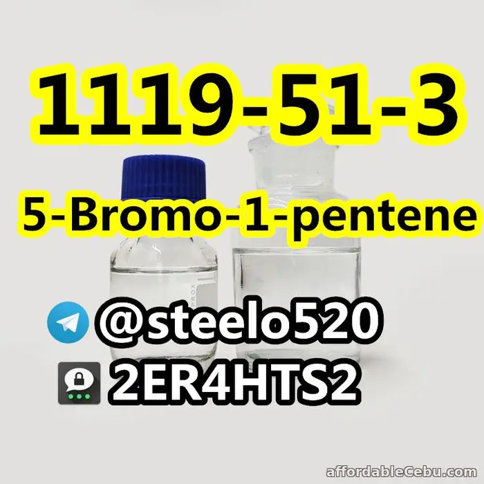 3rd picture of 5-Bromo-1-pentene High Purity CAS 1119-51-3 Threema: 2ER4HTS2 For Sale in Cebu, Philippines