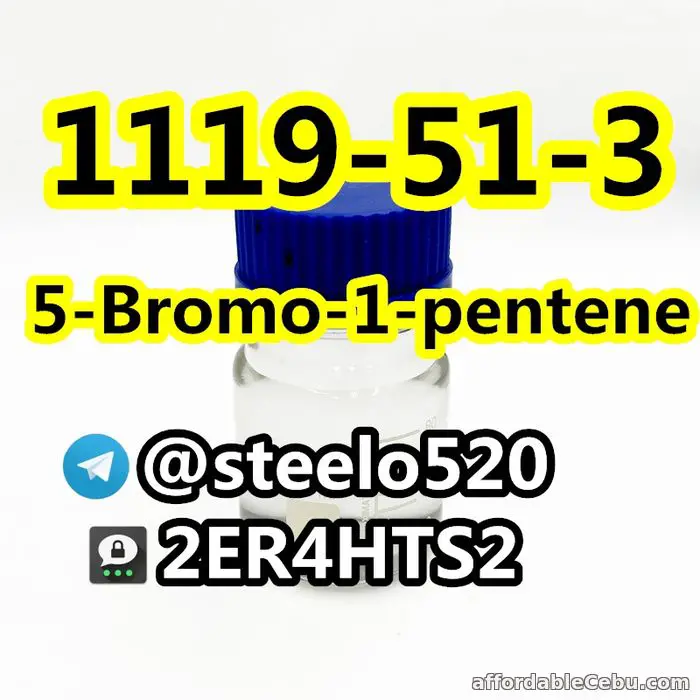 5th picture of 5-Bromo-1-pentene High Purity CAS 1119-51-3 Threema: 2ER4HTS2 For Sale in Cebu, Philippines