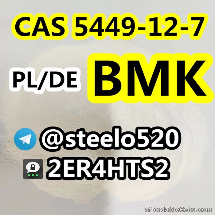 1st picture of Germany/Poland Warehouse BMK CAS 5449-12-7 in Stock 3ma: 2ER4HTS2 For Sale in Cebu, Philippines