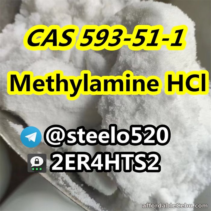 2nd picture of Hot in EU UK AUS Methylamine hcl cas 593-51-1 For Sale in Cebu, Philippines
