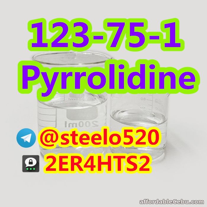 2nd picture of Pyrrolidine CAS 123-75-1 Colorless Liquid tele@steelo520 For Sale in Cebu, Philippines