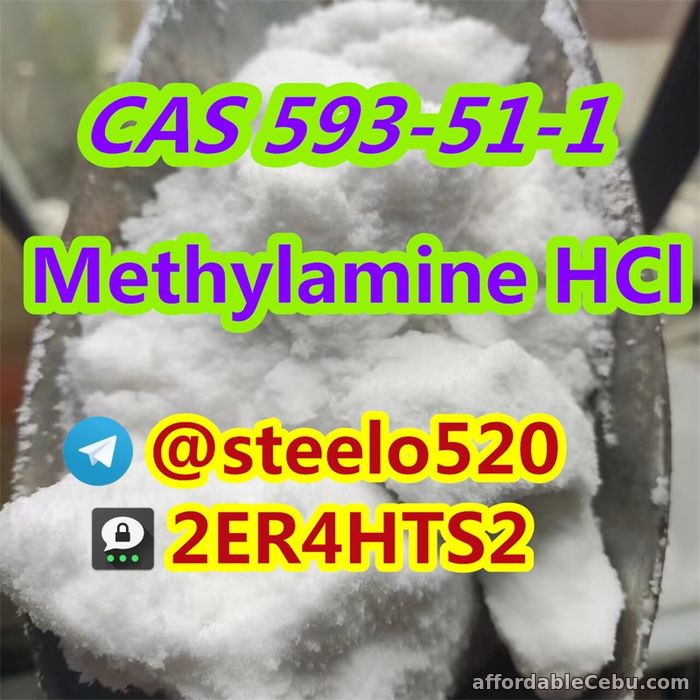 4th picture of Hot in EU UK AUS Methylamine hcl cas 593-51-1 For Sale in Cebu, Philippines