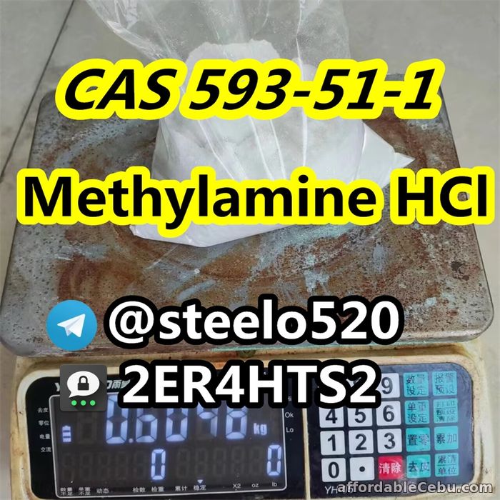 1st picture of Hot in EU UK AUS Methylamine hcl cas 593-51-1 For Sale in Cebu, Philippines