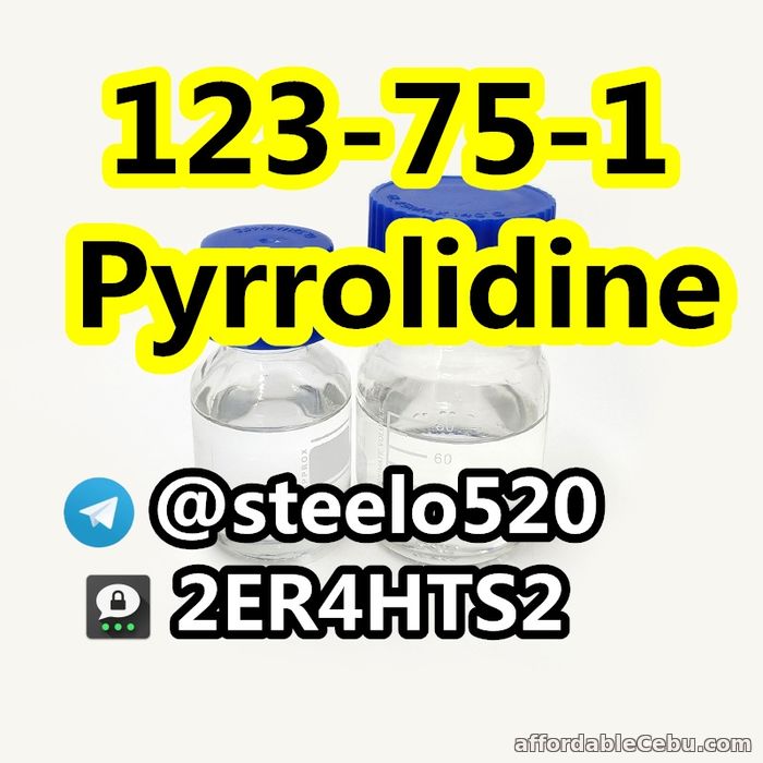 3rd picture of Pyrrolidine CAS 123-75-1 Colorless Liquid tele@steelo520 For Sale in Cebu, Philippines