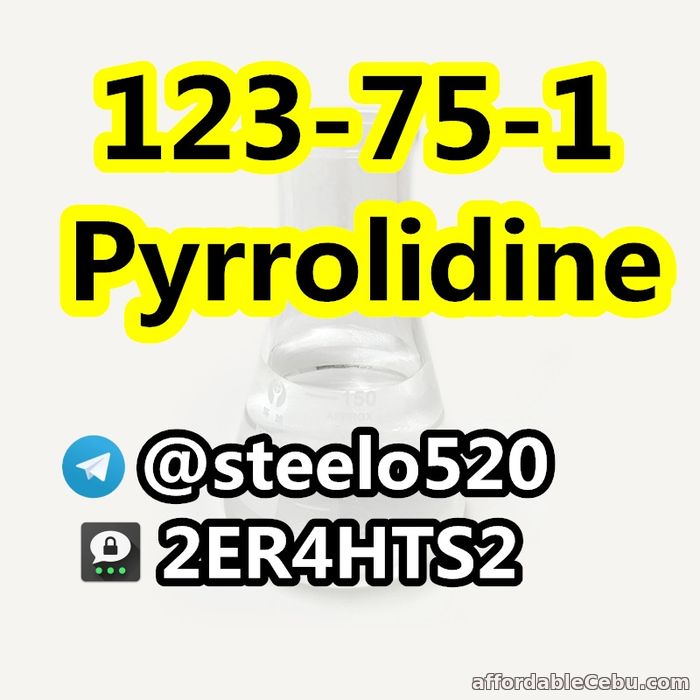 5th picture of Pyrrolidine CAS 123-75-1 Colorless Liquid tele@steelo520 For Sale in Cebu, Philippines