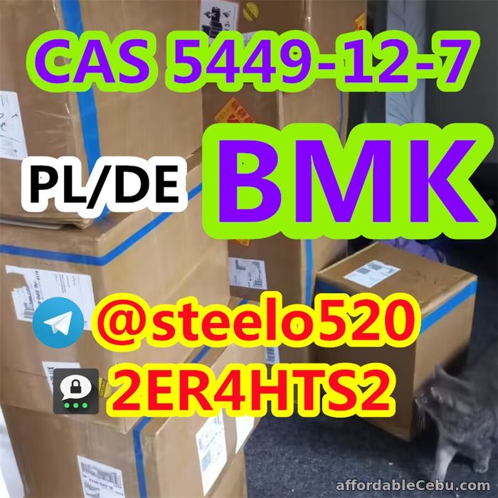 5th picture of Germany/Poland Warehouse BMK CAS 5449-12-7 in Stock 3ma: 2ER4HTS2 For Sale in Cebu, Philippines
