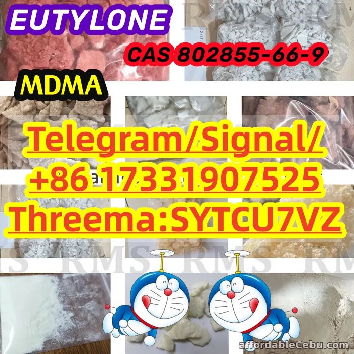 1st picture of CAS 802855-66-9 EUTYLONE MDMA BK-MDMA Telegram/Signal: +86 17331907525 For Rent in Cebu, Philippines