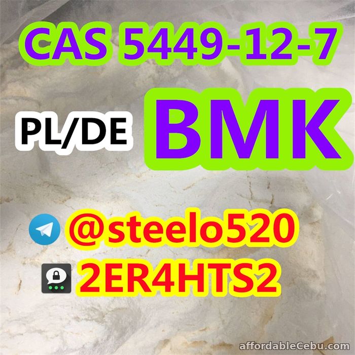 4th picture of Germany/Poland Warehouse BMK CAS 5449-12-7 in Stock 3ma: 2ER4HTS2 For Sale in Cebu, Philippines