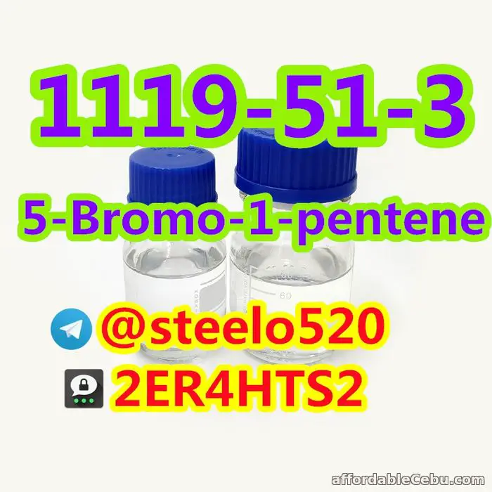 2nd picture of 5-Bromo-1-pentene High Purity CAS 1119-51-3 Threema: 2ER4HTS2 For Sale in Cebu, Philippines