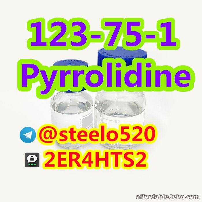 1st picture of Pyrrolidine CAS 123-75-1 Colorless Liquid tele@steelo520 For Sale in Cebu, Philippines