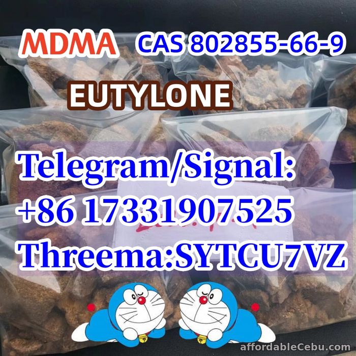 2nd picture of CAS 802855-66-9 EUTYLONE MDMA BK-MDMA Telegram/Signal: +86 17331907525 For Rent in Cebu, Philippines
