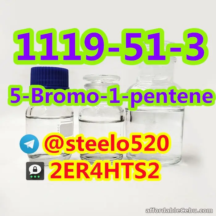 1st picture of 5-Bromo-1-pentene High Purity CAS 1119-51-3 Threema: 2ER4HTS2 For Sale in Cebu, Philippines
