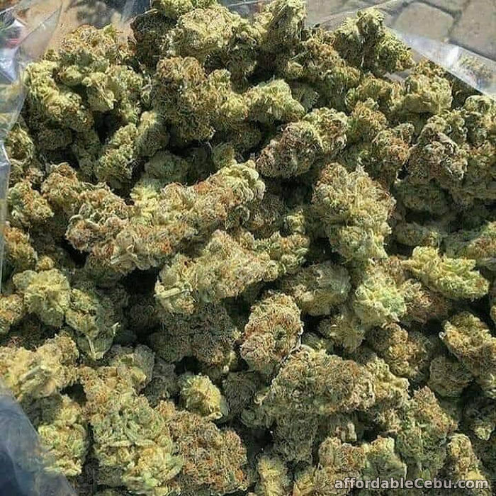 1st picture of Buy Weed Online Legally (WhatsApp at): +1(786)949-1469 For Sale in Cebu, Philippines