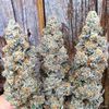 Marijuana dispensaries near me that delivers