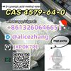 White powder CAS 4579-64-0 to Europe with competitive price fast delivery