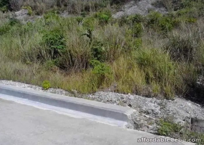 4th picture of Corner LOT ocean view with title ok installment -data data For Sale in Cebu, Philippines