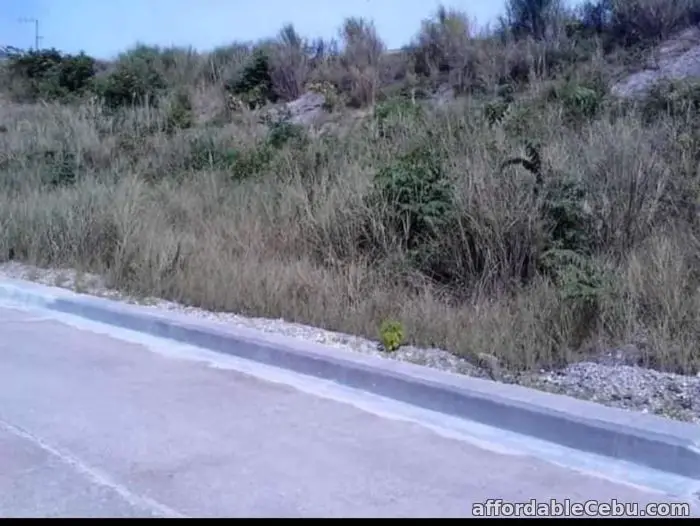 5th picture of Corner LOT ocean view with title ok installment -data data For Sale in Cebu, Philippines