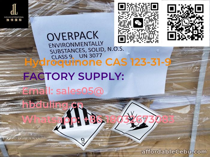 1st picture of Facotry Supply High Quality Hydroquinone CAS 123-31-9 in Stock with Good Price For Sale in Cebu, Philippines