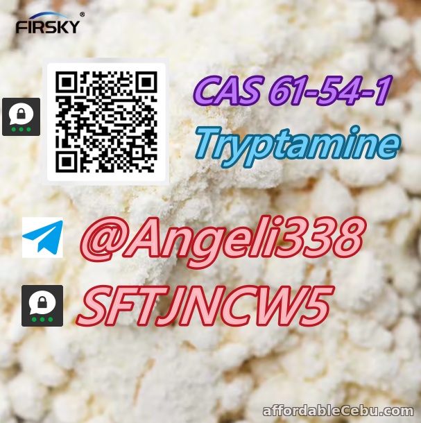 1st picture of CAS 61-54-1 Tryptamine  Threema: SFTJNCW5 For Sale in Cebu, Philippines