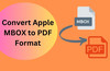 Professional and Easy to Use MBOX to PDF Converter