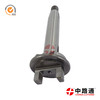PLUNGER 2 418 455 038 & PLUNGER 2 418 455 145