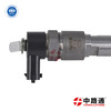 Common Rail Injector Assembly 2462343