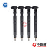Common Rail Injector Assembly 20R-8057