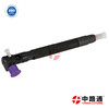 Common Rail Injector Assembly 217-2570