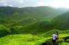 Assam Honeymoon Tour