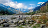 Dharamshala Family Packages