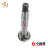 PLUNGER 2 418 455 192 & PLUNGER 2 418 455 308