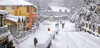 Dharamshala Honeymoon Package