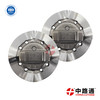 CAMPLATE 1 466 110 621