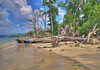 Andaman Tour Packages from Pune