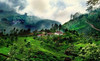 Coorg Family Tour