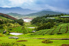 Ooty Weekend Tour