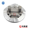 VE Pump Cam Plate 2466110125