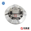 VE Pump Cam Plate 1466110619