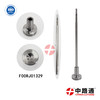 Common Rail Injector Valve FOOV C01 364