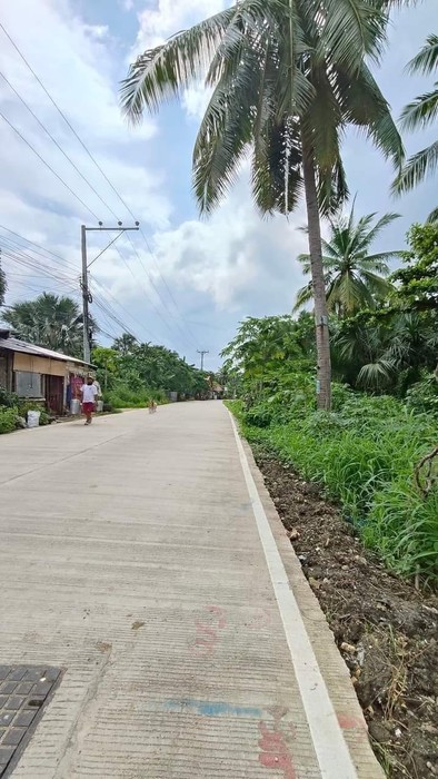 4th picture of TITLED LOT IN LILOAN CEBU FOR SALE IDEAL FOR PARKING SPACE,WAREHOUSE,SARI SARI STORE For Sale in Cebu, Philippines