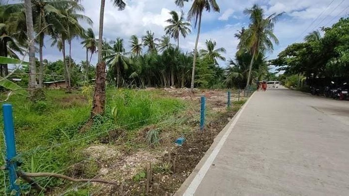 5th picture of TITLED LOT IN LILOAN CEBU FOR SALE IDEAL FOR PARKING SPACE,WAREHOUSE,SARI SARI STORE For Sale in Cebu, Philippines