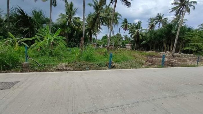 3rd picture of TITLED LOT IN LILOAN CEBU FOR SALE IDEAL FOR PARKING SPACE,WAREHOUSE,SARI SARI STORE For Sale in Cebu, Philippines