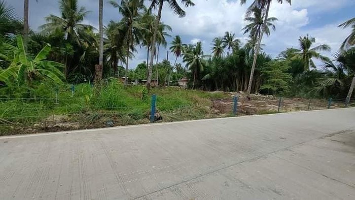 2nd picture of TITLED LOT IN LILOAN CEBU FOR SALE IDEAL FOR PARKING SPACE,WAREHOUSE,SARI SARI STORE For Sale in Cebu, Philippines
