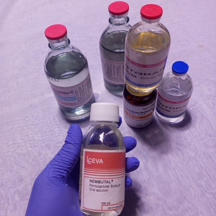 1st picture of Buy Nembutal Pentobarbital Online - WhatsApp# +44 7931 491607 Pentobarbital for sale online - Buy Nembutal Online - Buy Nembutal in USA For Sale in Cebu, Philippines