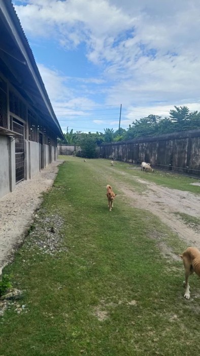 5th picture of LOT FOR SALE IN CABANCALAN MANDAUE WITH WAREHOUSE AND BUILDING For Sale in Cebu, Philippines